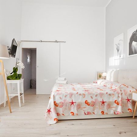 Maison San Michele Lovely Apartment 特拉尼 外观 照片